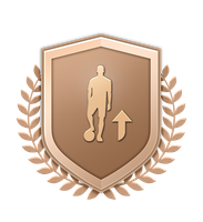 Bronze Upgrade